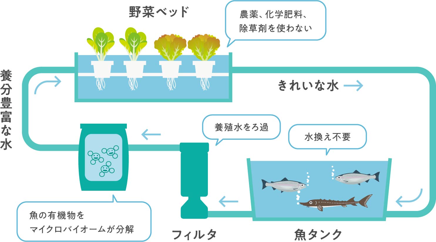 アクアポニックスとは
