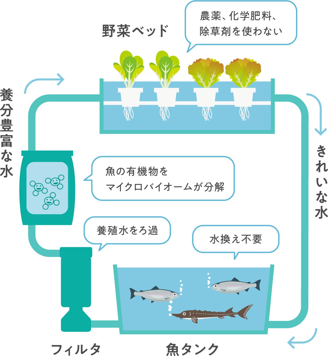 アクアポニックスとは