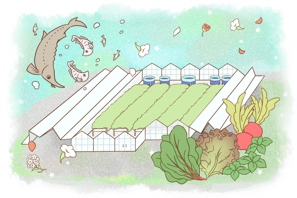 福菜商店のイメージマップ